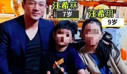 汪小菲爆料怀孕视频,豪门孕事背后的故事